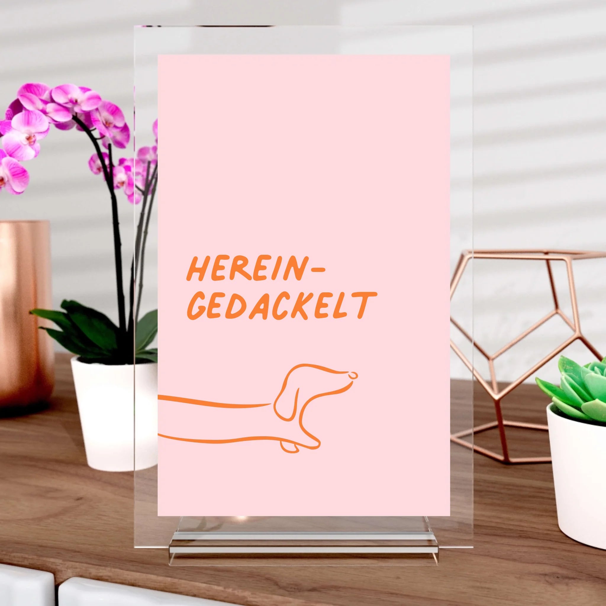 Hereingedackelt