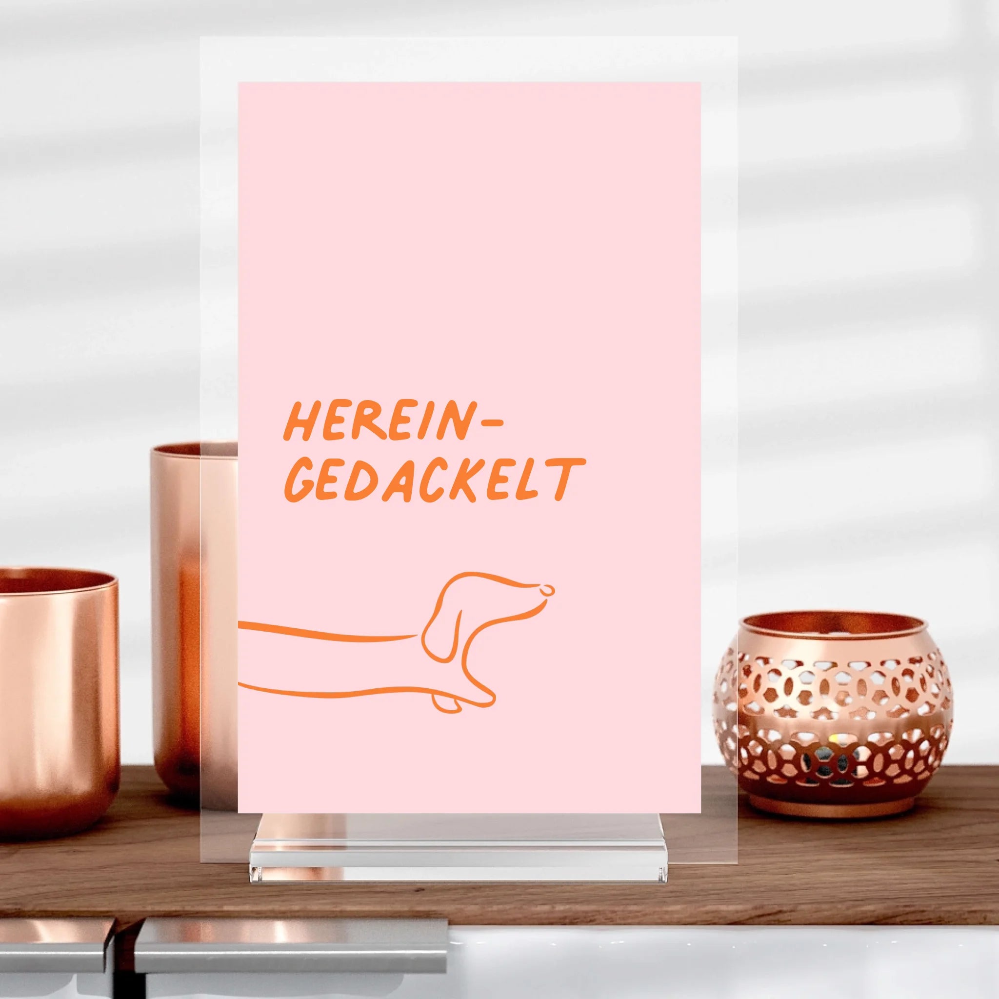 Hereingedackelt