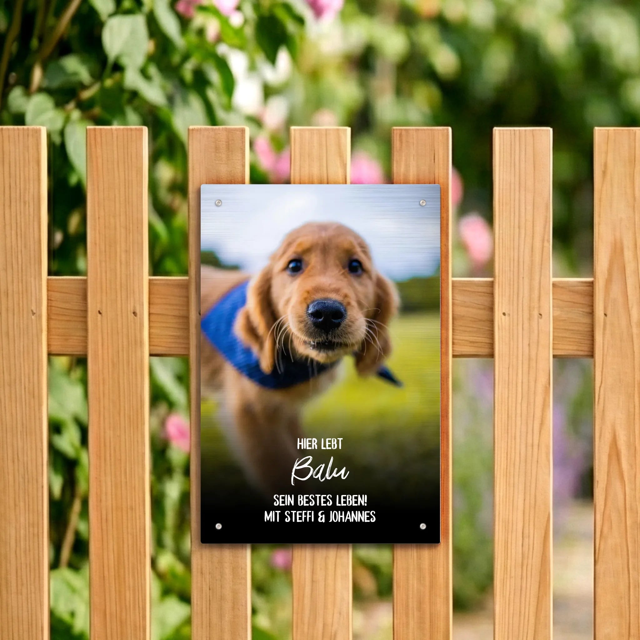 Tuerschild-rechteckig-hoch-silber-MockUp