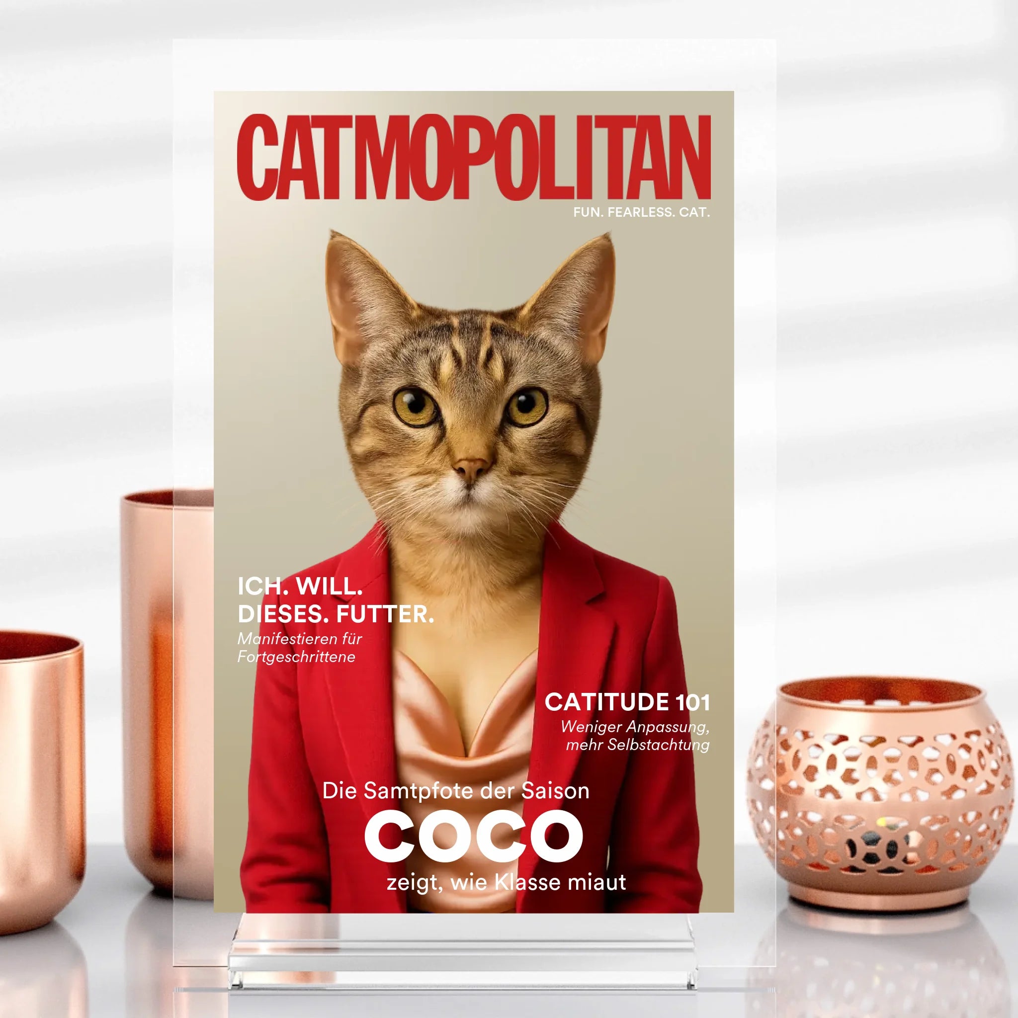 Catmopolite
