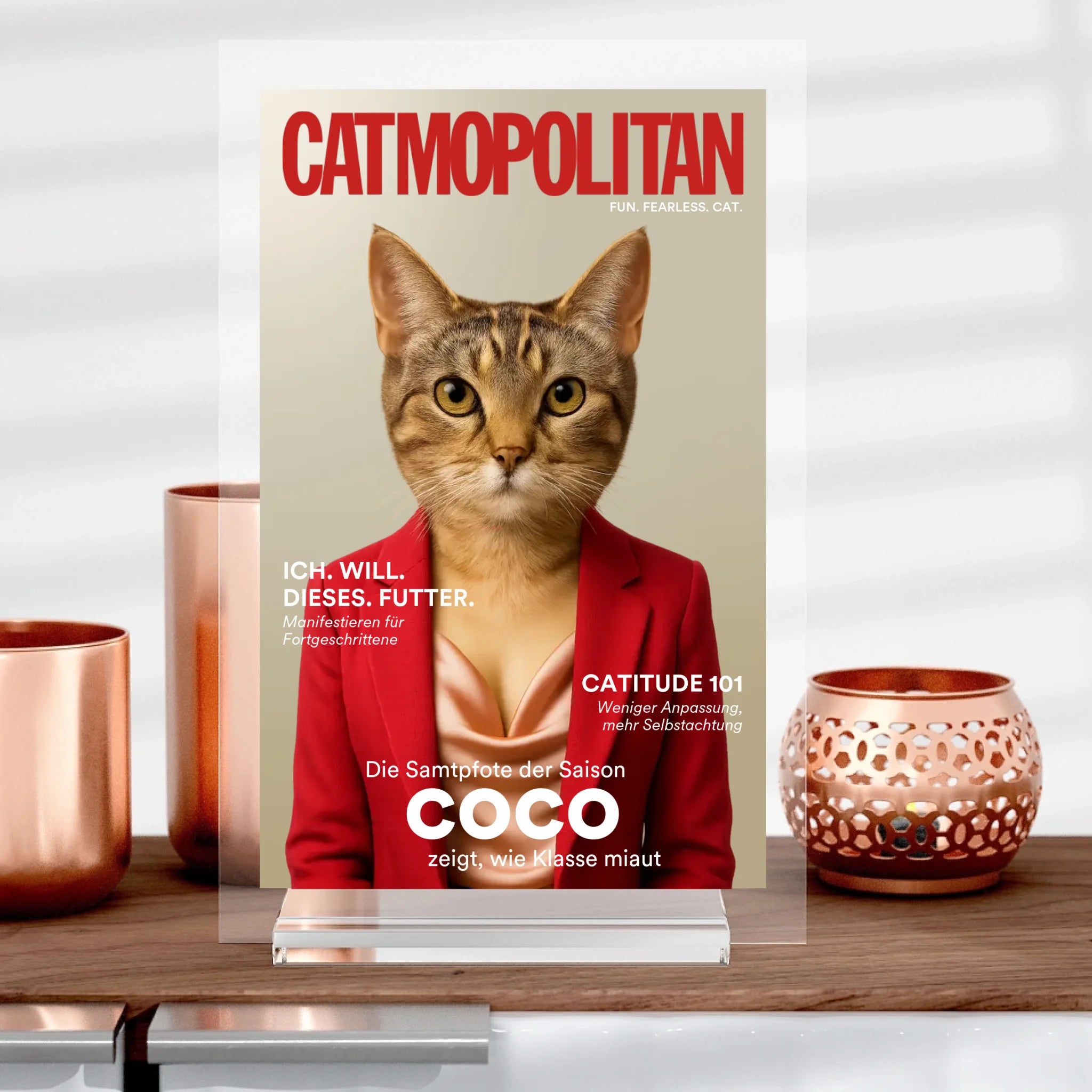 Catmopolite