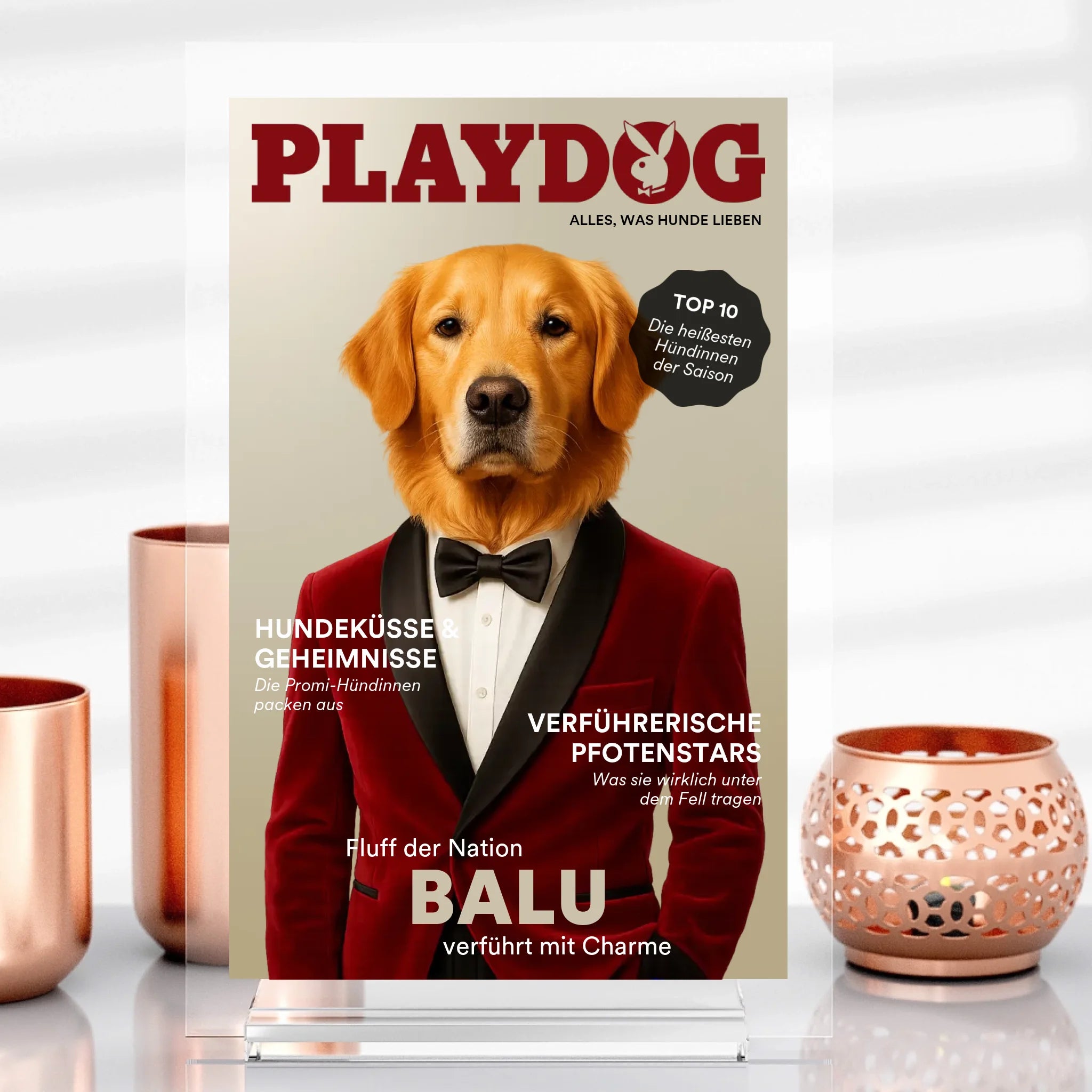 Chien de jeu
