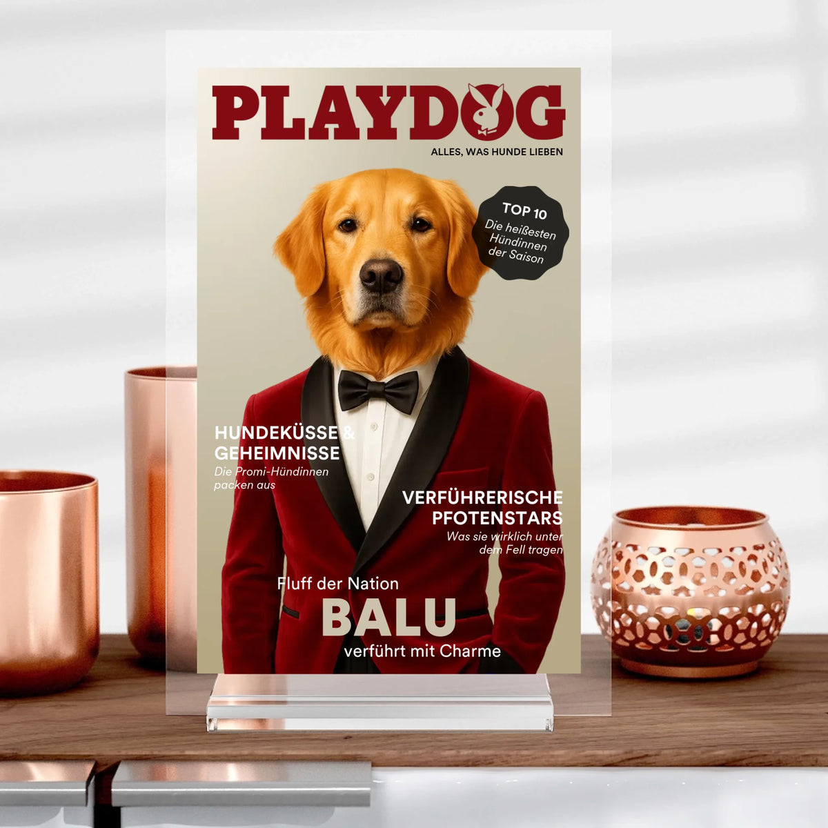 Chien de jeu