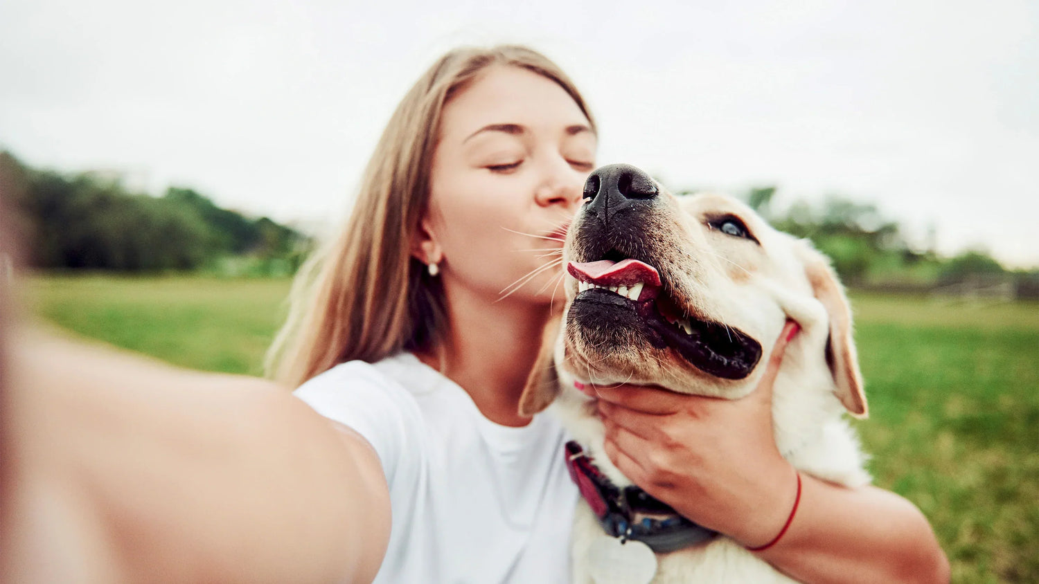 Haustierfotografie leicht gemacht – So wird dein Liebling zum Superstar!