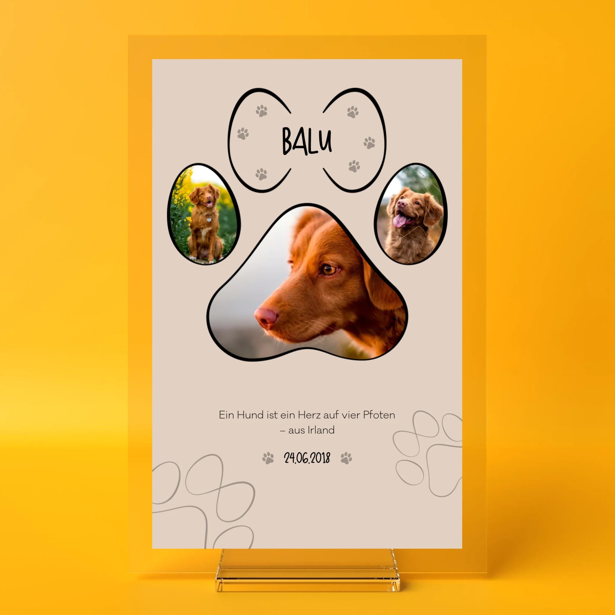 fotoaufsteller-orange