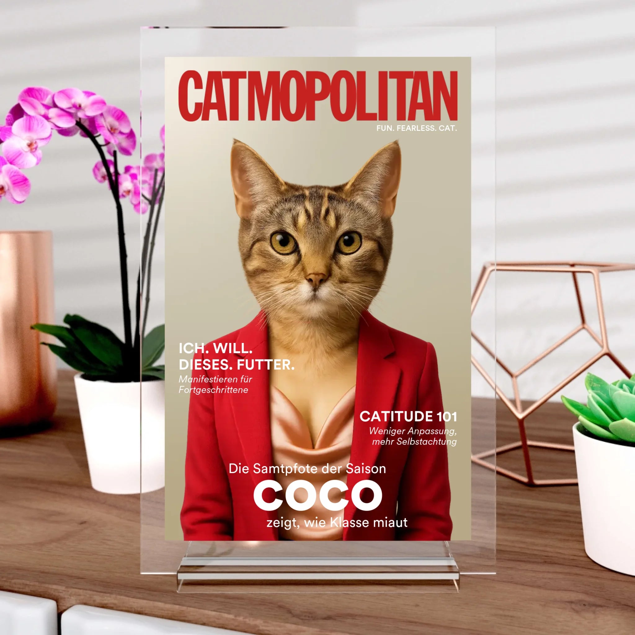 Catmopolite