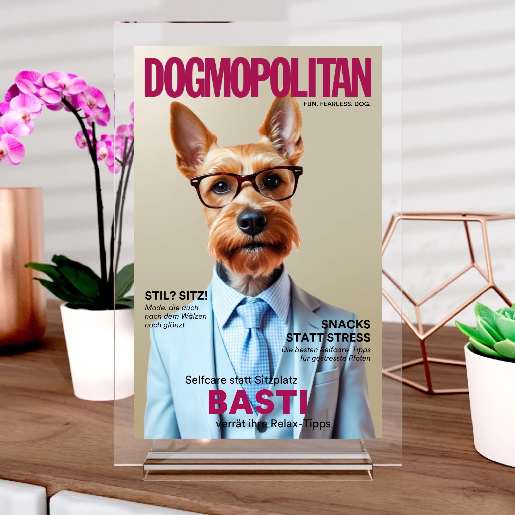 Dogmopolite