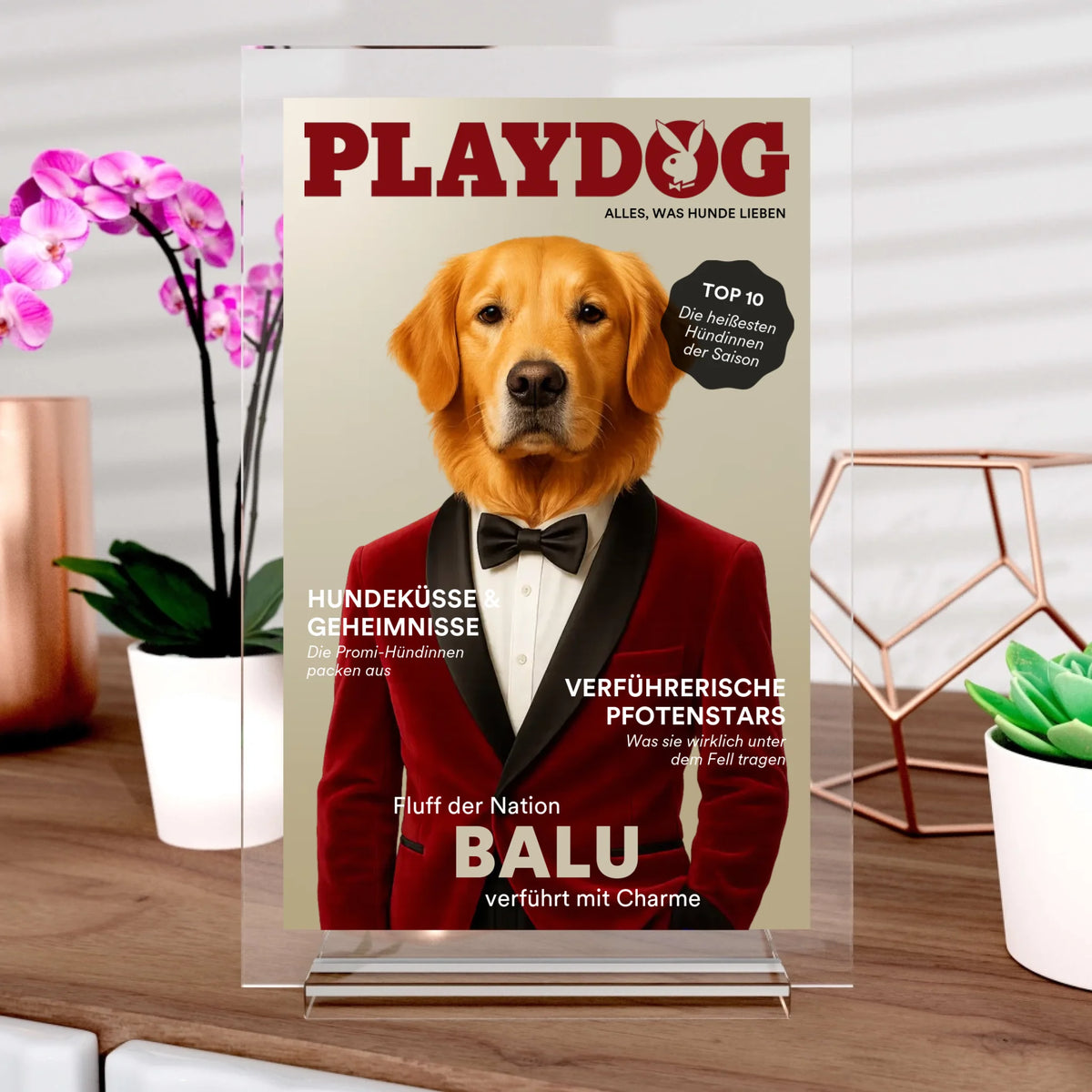 Chien de jeu